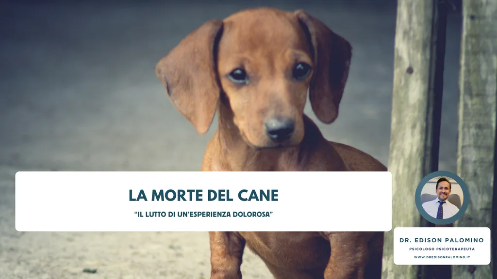 La morte del cane: il lutto di un'esperienza dolorosa